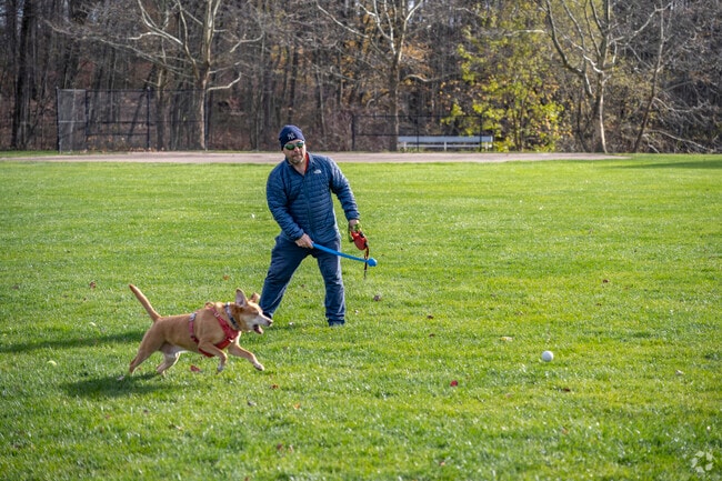 Neighbors enjoy a sunny game of fetch at Island Brook Park near West Trumbull.