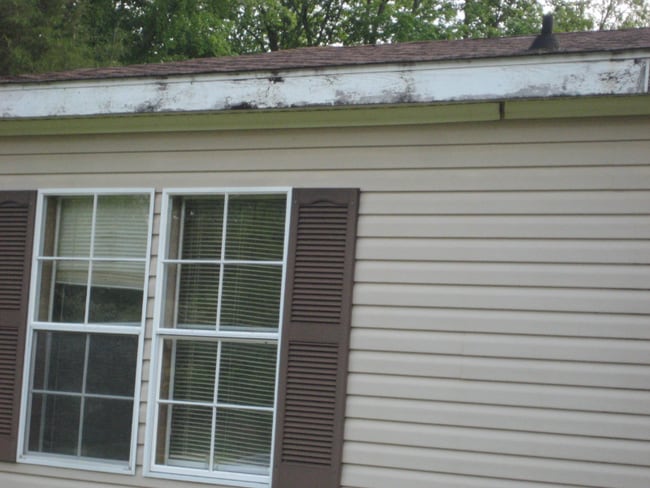 13915 Monarch Way, Athens, AL 35611 - photo 3