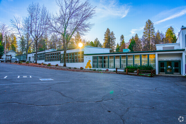 Morning sun peeks through tall trees at Foresthill Elementary School.