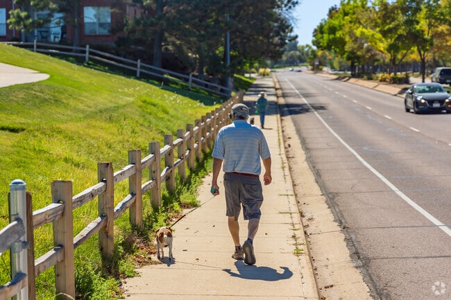 Take your dog for a walk in Shaw Heights.