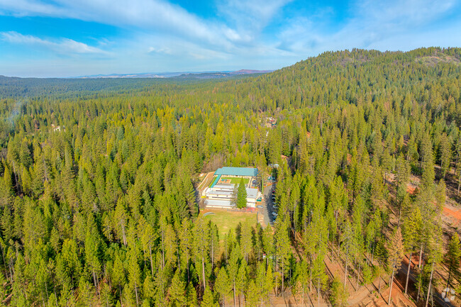 Yuba Feather Elementary School is nestled peacefully between trees.