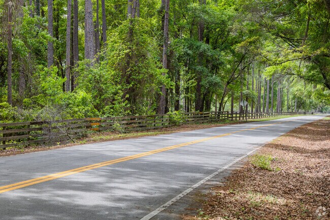 Tree-lined roads provide scenic drives across Wadmalaw Island.