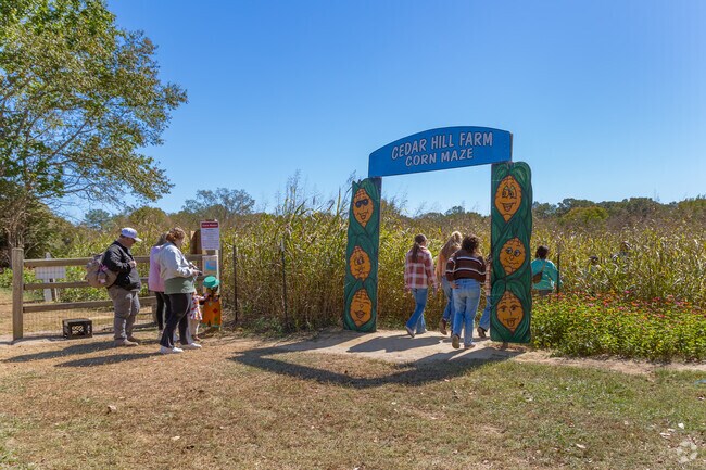 The corn maze at Cedar Hill's Haunted Farm is great family fun.