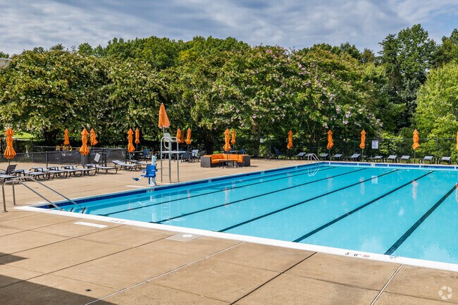 Many community pools can be found in Montclair neighborhood.