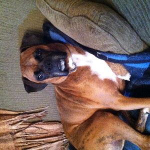 Agent Photo
