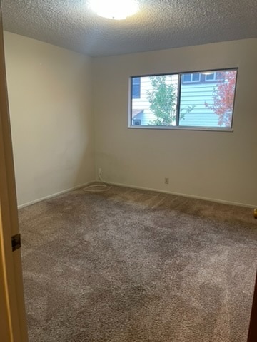 312 S Amador St, Ione, CA 95640 - photo 6