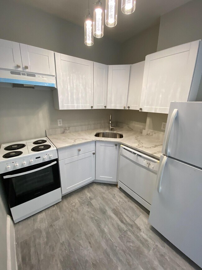 165 Winthrop Rd unit 3, Brookline, MA 02445 - photo 3