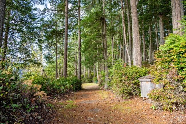 Lowell Johnson Park has trails to enjoy the towering trees and surrounding shrubbery.