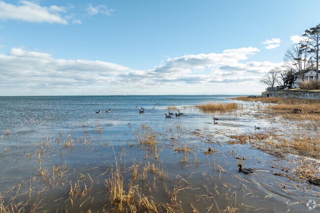 Greens Farms waterfront is walkable from local streets.