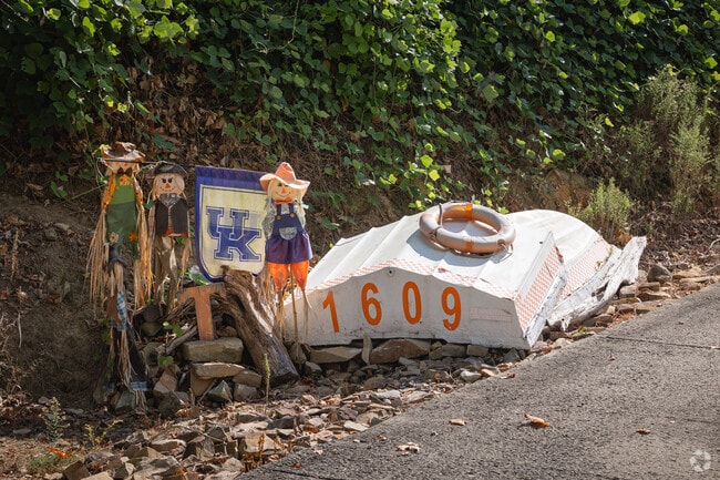 Retired boats find new life as decorations or signs in Haletown.