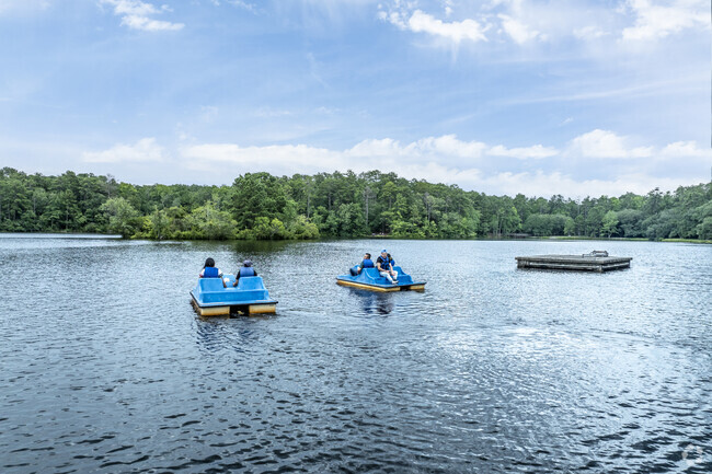 Pedal boats, kayaks, and canoes can be rented at Sesquisentennial State Park near Spring Valley.