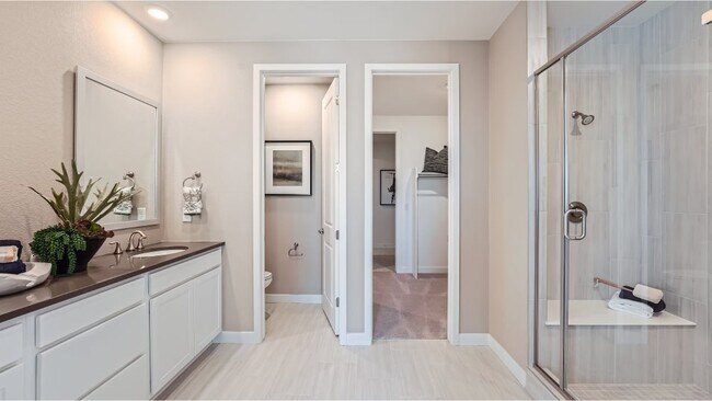 4000 Buttongrass Trail, Castle Rock, CO 80108 - photo 7