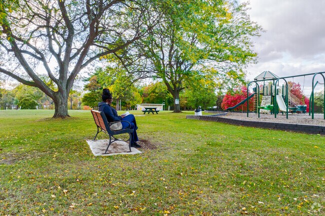 Children in Albion Town Orleans enjoy the playground in Bullard Park.