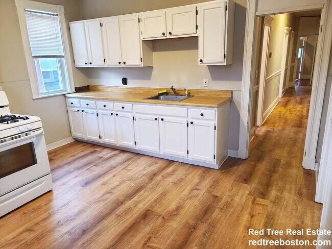 348 Faneuil St unit 3, Brighton, MA 02135 - photo 3