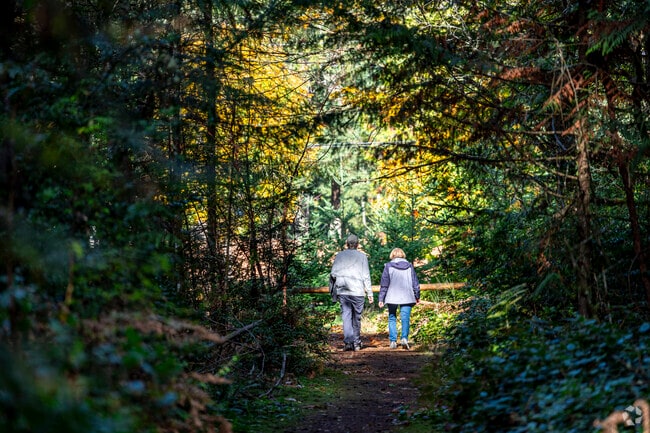 A couple walk the trails of McCormick as the clouds clear and allow the sun through the trees.