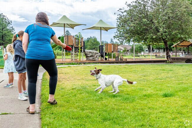 Bring your pets to Cheshire Park and have them play in the lush grass.
