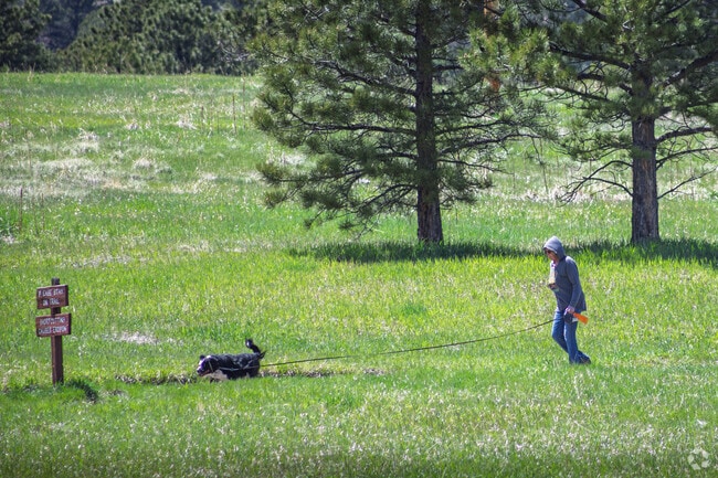 The woodland trails in North Central Evergreen attract outdoor enthusiasts to the area.