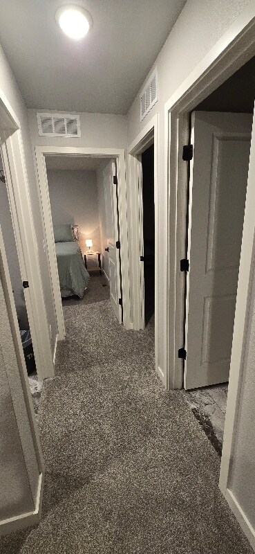 618 Apex Trail, Ault, CO 80610 - photo 3