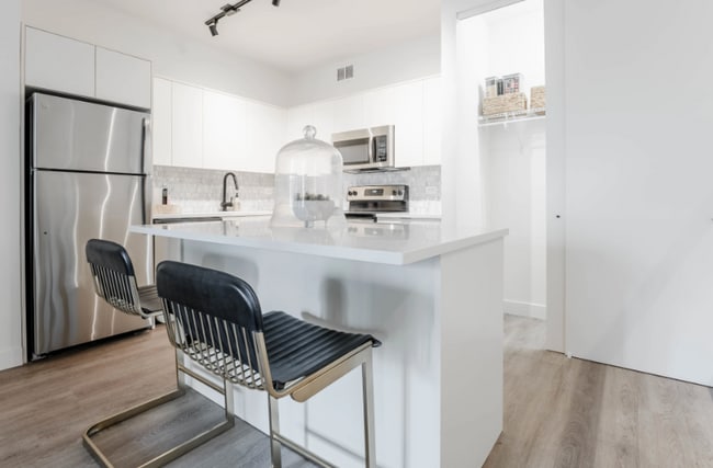 24 E Chestnut St, Chicago, IL 60611 - photo 4