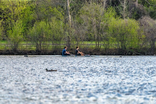 You can watch students practice their rowing along Huron River in Gallop Park near Tuomy Hills.