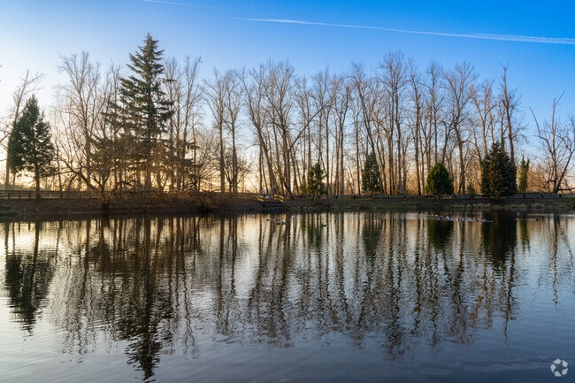 Alder trees reflect across the Canby Pond at sunset.