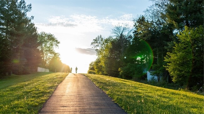 Harpers Mill Walking Trails Amenity