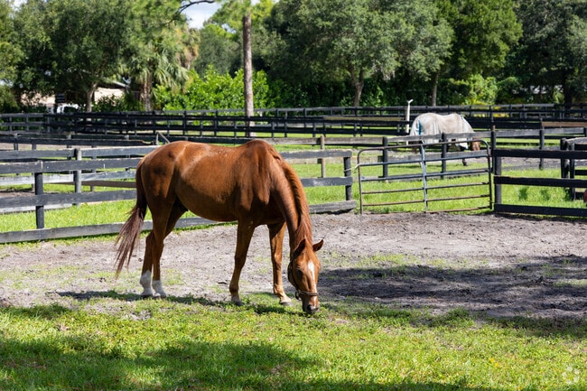 Loxahatchee Groves is horse friendly.