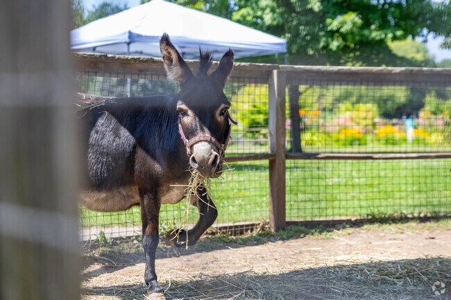 Menominee Park Zoo has new animal exhibits each year in Menominee North.