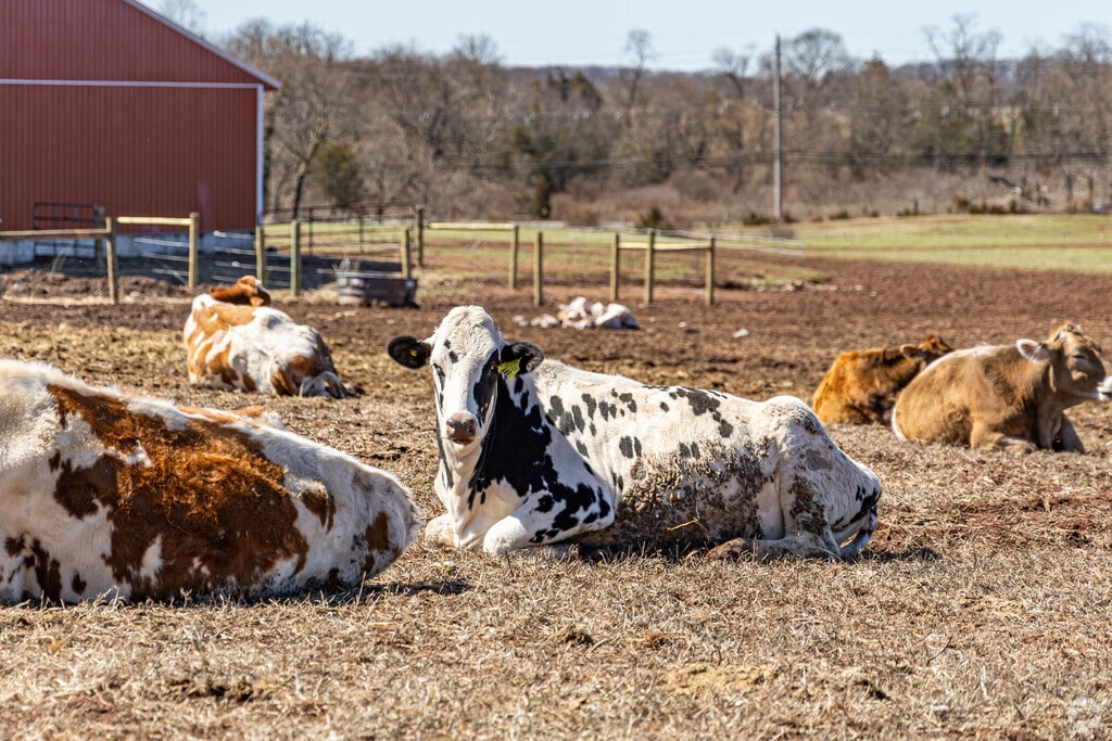 Expansive farmland and larger lots provide a peaceful retreat within commuting distance in Franklin Township.