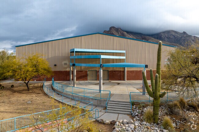 Immaculate Heart Academy is surrounded by lush desert.