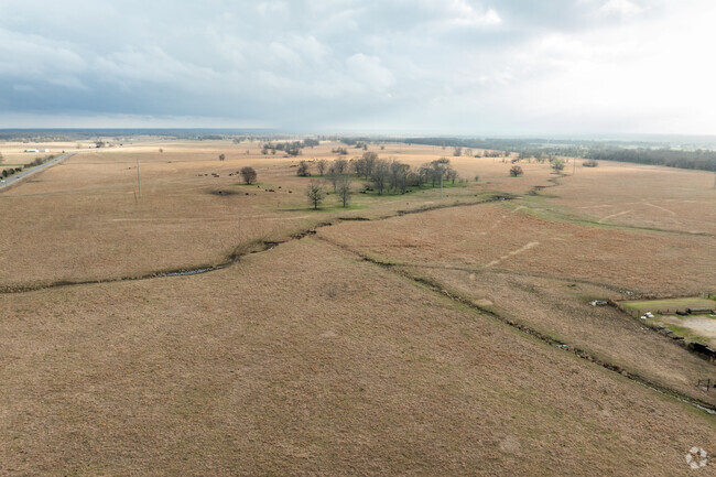 The Pike Road community boasts an abundance of thriving farms, showcasing a vibrant working landscape that contributes to our local economy and culture.
