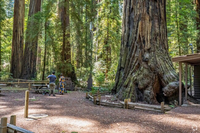 Richardson Grove State Park is just south of Alderpoint with walking trails through huge redwood