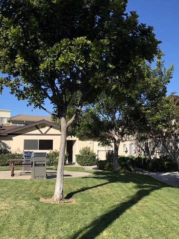 Whispering Pines, San Diego, CA 92122 - photo 3