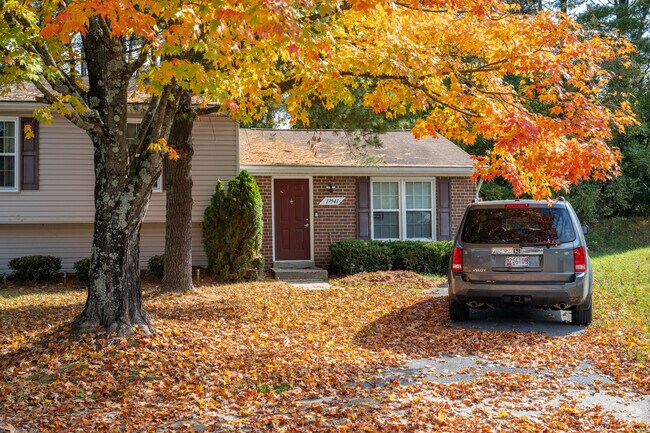 The large amount of tree cover in Ashton-Sandy Spring makes way to residents enjoying watching the color changes in the fall.