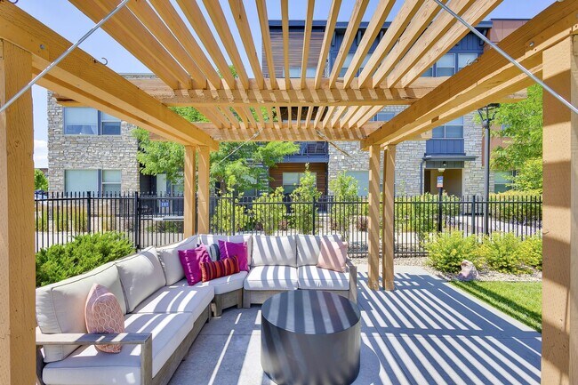 Vela Meridian, Parker, CO 80134 - photo 5