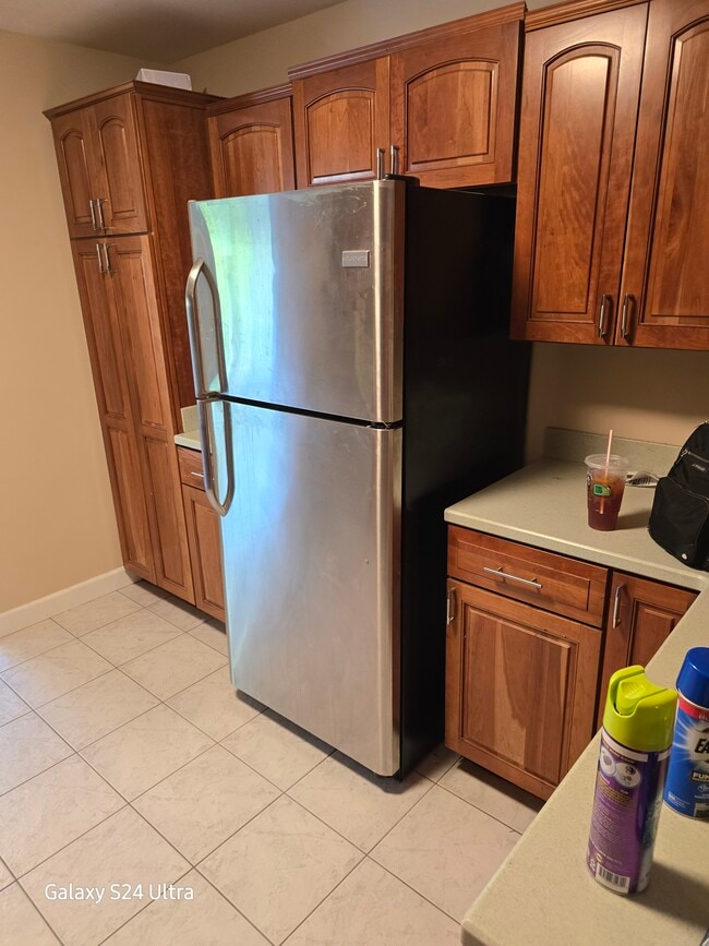 401 S Grove Ave unit 1A, Oak Park, IL 60302 - photo 7