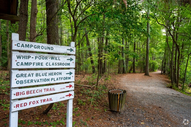 From Camping to watching Heron, Sandy Bottom Nature Park a favorite in Hampton Roads Center.