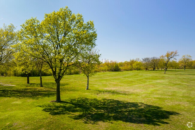 Shady Oak trees in Brownell Woods offer Lynwood residents a cool place to picnic and relax.