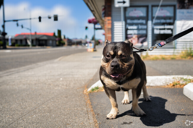 Shoultes has a warm, welcoming, and pet friendly community waiting to welcome you in.