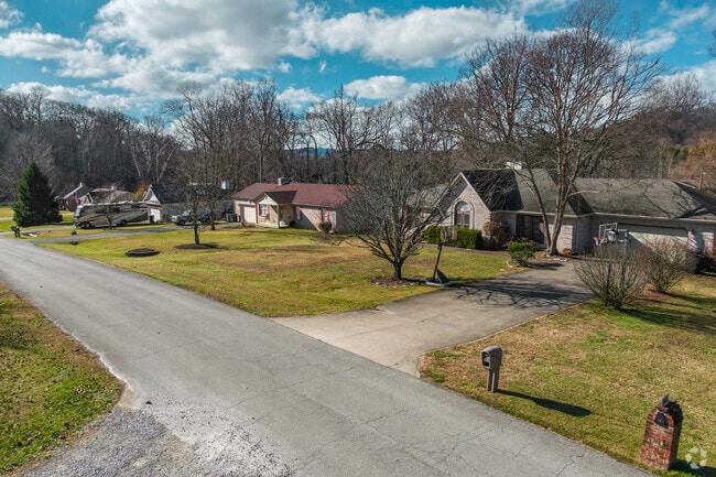 Diverse homes grace Lebanon Junction, showcasing varied architectural styles.