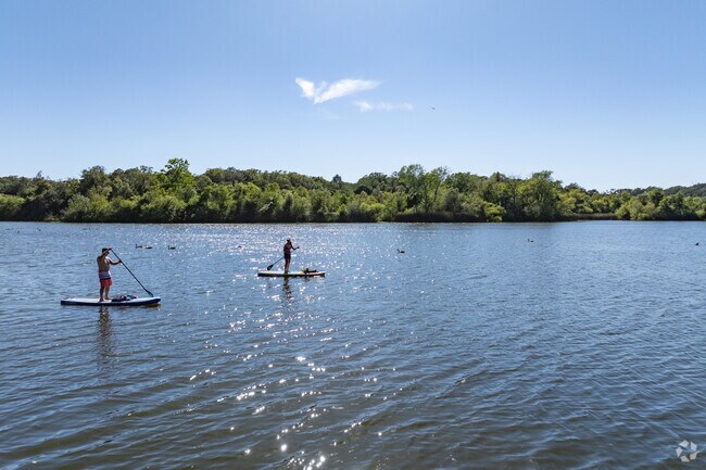Paddle boarders enjoy the peaceful nature at Spring Lake Park.