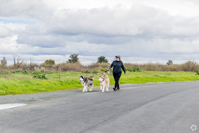 Big Break Regional Shoreline in the city of Oakley is a great spot for dog lovers.