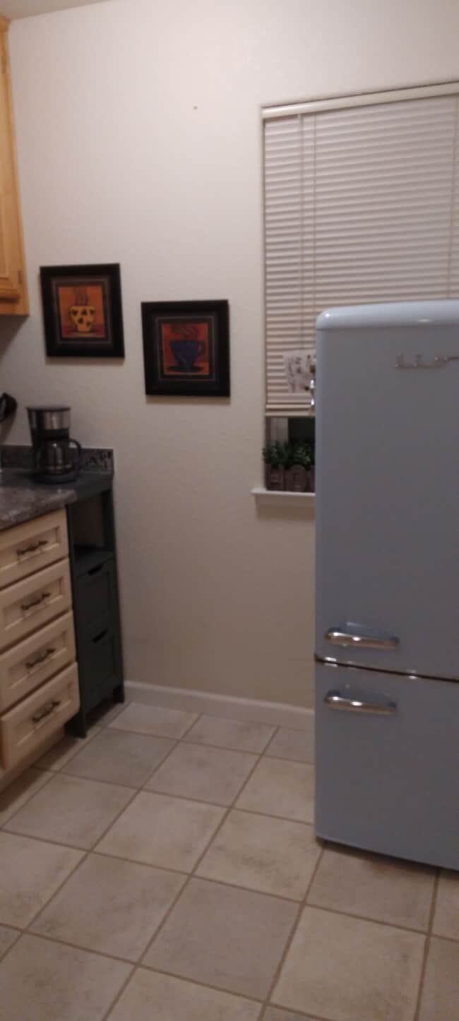 Adorable Retro Fridge/Freezer