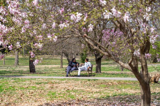 Relax along the winding path of Tower Grove Park.