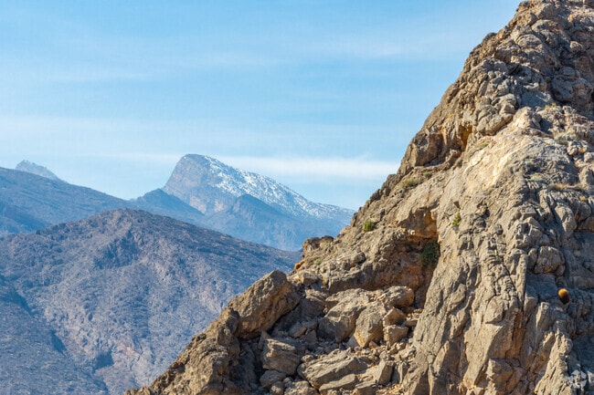 Lone Mountain is bordered by Red Rock Canyon National Conservation.
