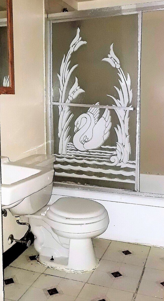 Bath with shower tub combo