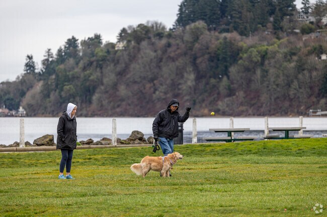 As the rain clears, a couple heads to Browns Point Lighthouse Park to play fetch with their pup.