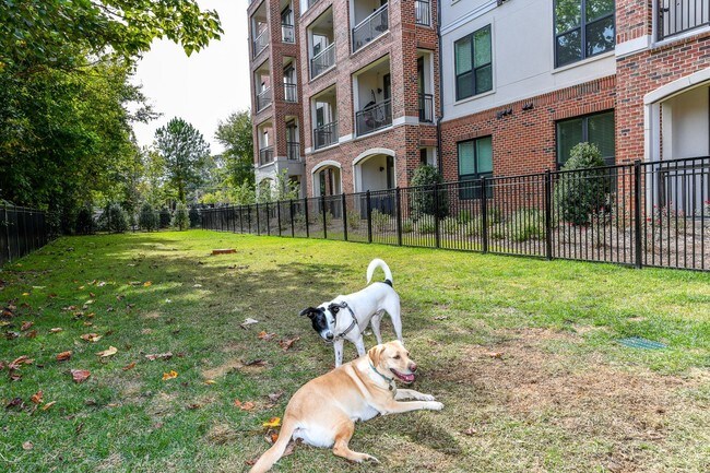 Gateway Chastain, Atlanta, GA 30342 - photo 6