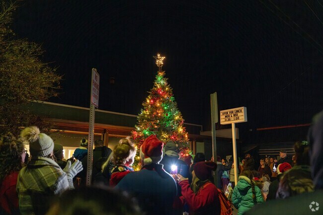 Neighbors gather for the long-awaited tree lighting in downtown North Plains.