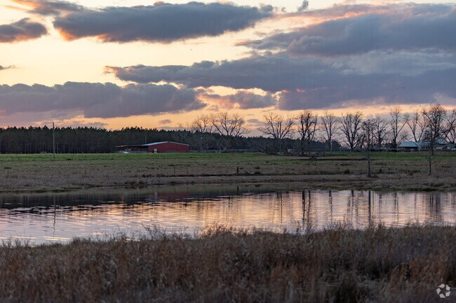 Enjoy scenic sunsets at Lake Grace in Jesup.